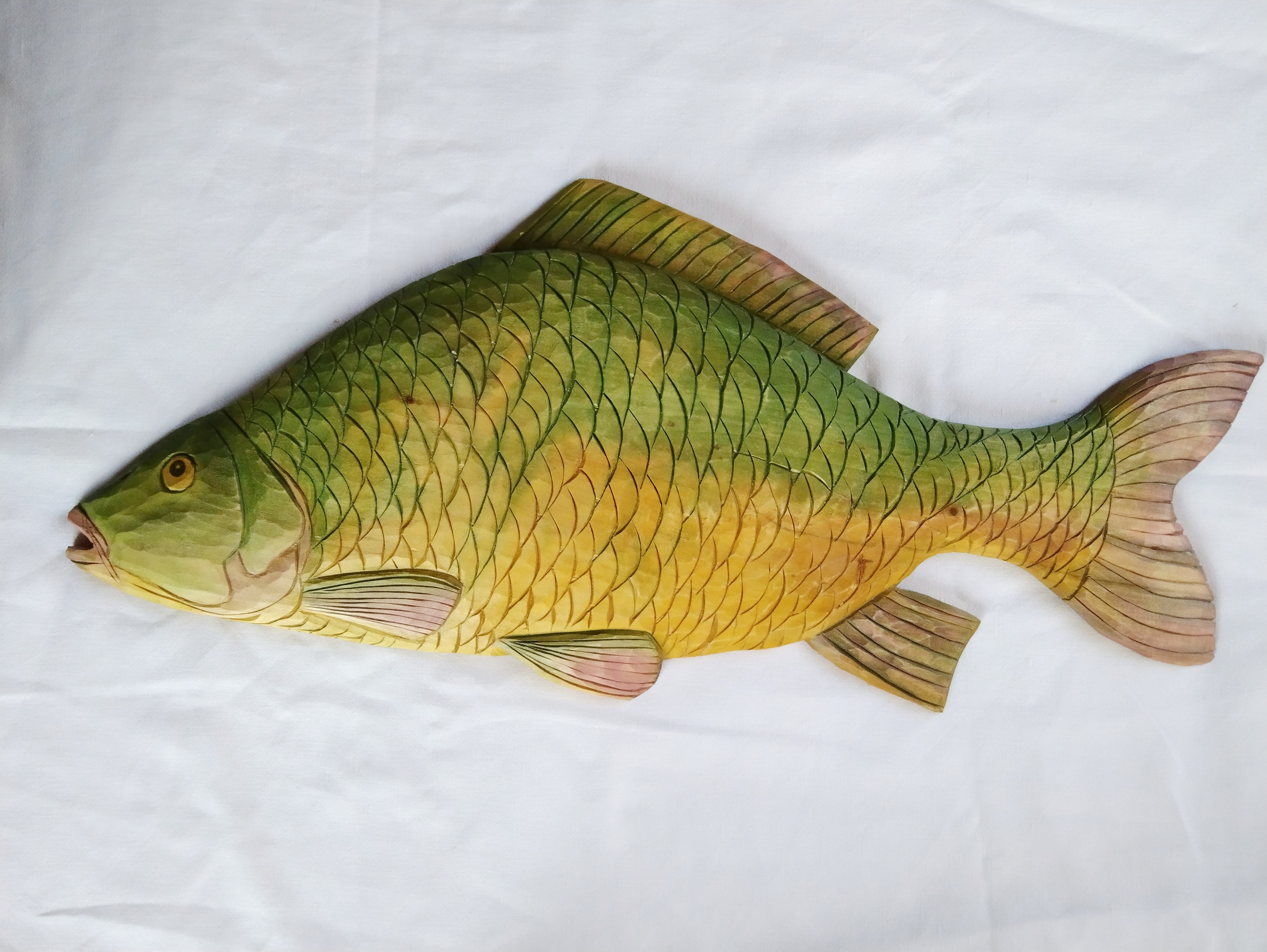 Kapr, 60/29 cm
